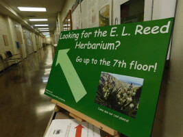 Herbarium celebrates 100 years of plant preservation